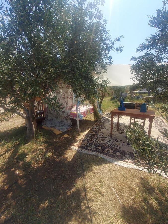Suite Under The Stars Telendos Exterior photo